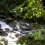 Sumatra jungle trekking