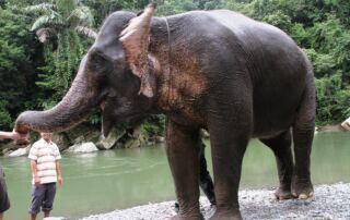 Sumatra travel info