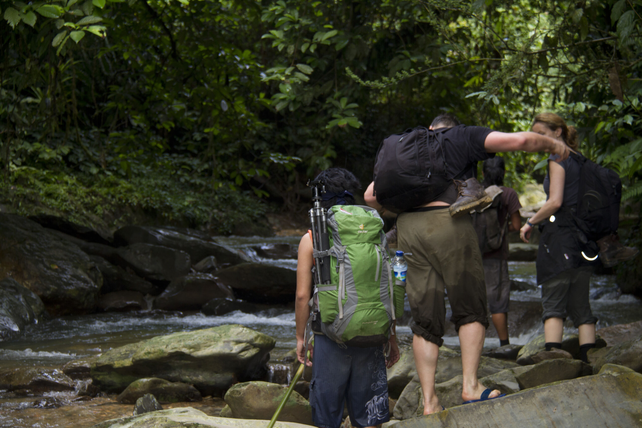Walking through the creek in the sumatra jungle Walking through the creek in the sumatra jungle