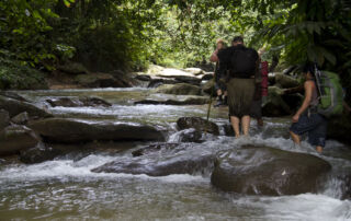 Gunung Leuser National Park