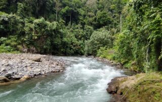 Gunung Leuser National Park sumatra