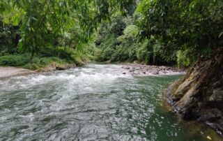 Gunung Leuser