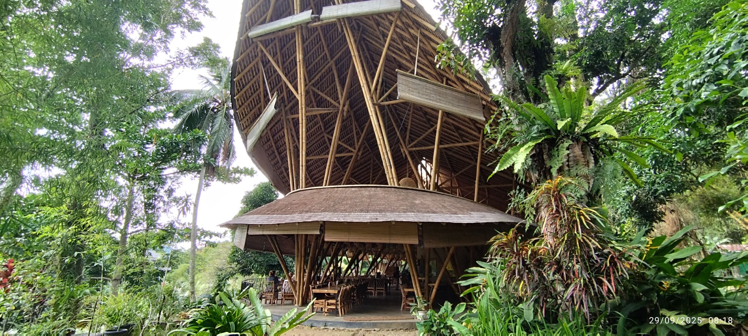 Ecolodge Bukit lawang Ecolodge Bukit lawang