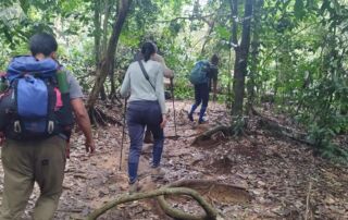 Hiking through the rain forest