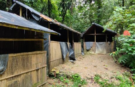 Jungle shelter for jungle trek trip