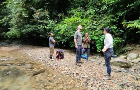 Small creek in the jungle of sumatra