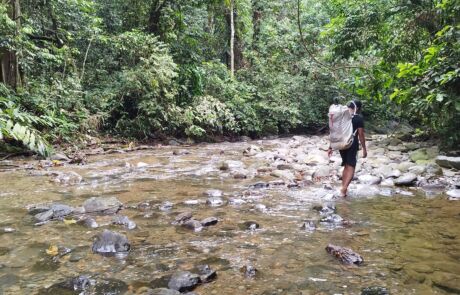 Walking through the creek in sumatra jungle bukit lawang