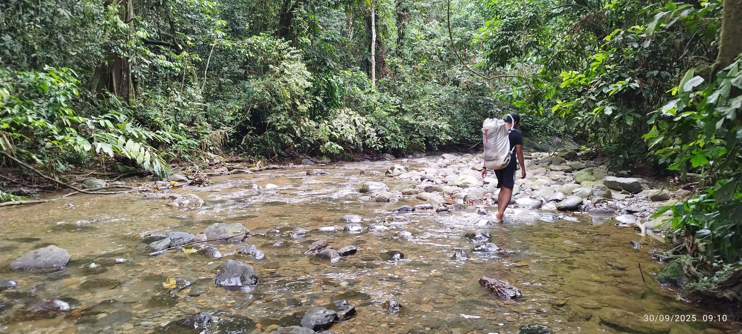 Walking through the creek in sumatra jungle bukit lawang Walking through the creek in sumatra jungle bukit lawang