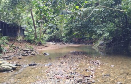 Following the creek through the sumatra jungle Bukit Lawang