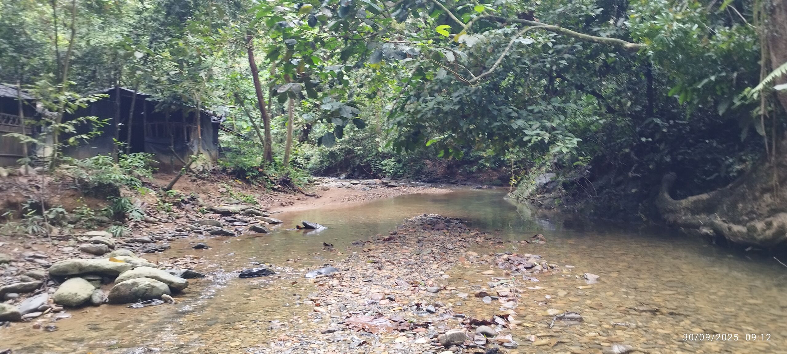 Following the creek through the sumatra jungle Bukit Lawang Following the creek through the sumatra jungle Bukit Lawang