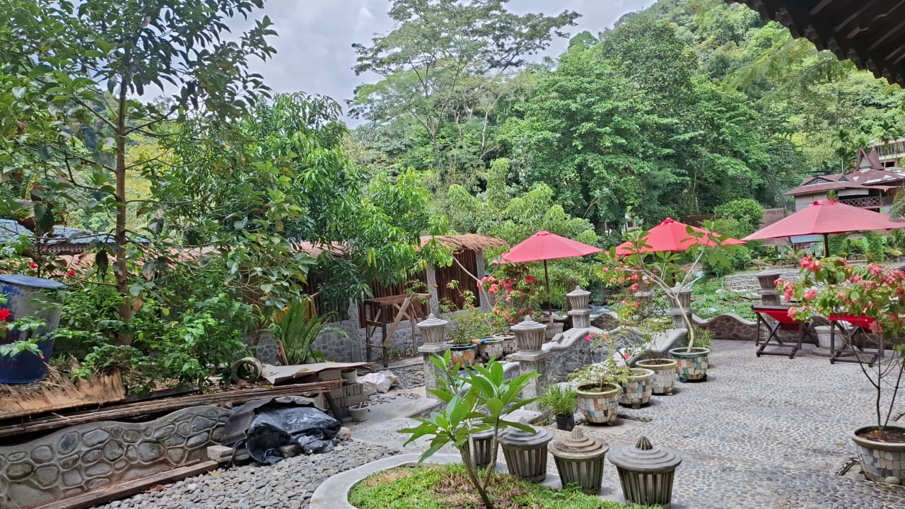 Jungle Border Bukit Lawang