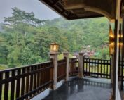 Jungle Border Bukit Lawang