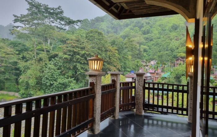 Jungle Border Bukit Lawang