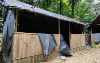 Jungle shelter and jungle camp