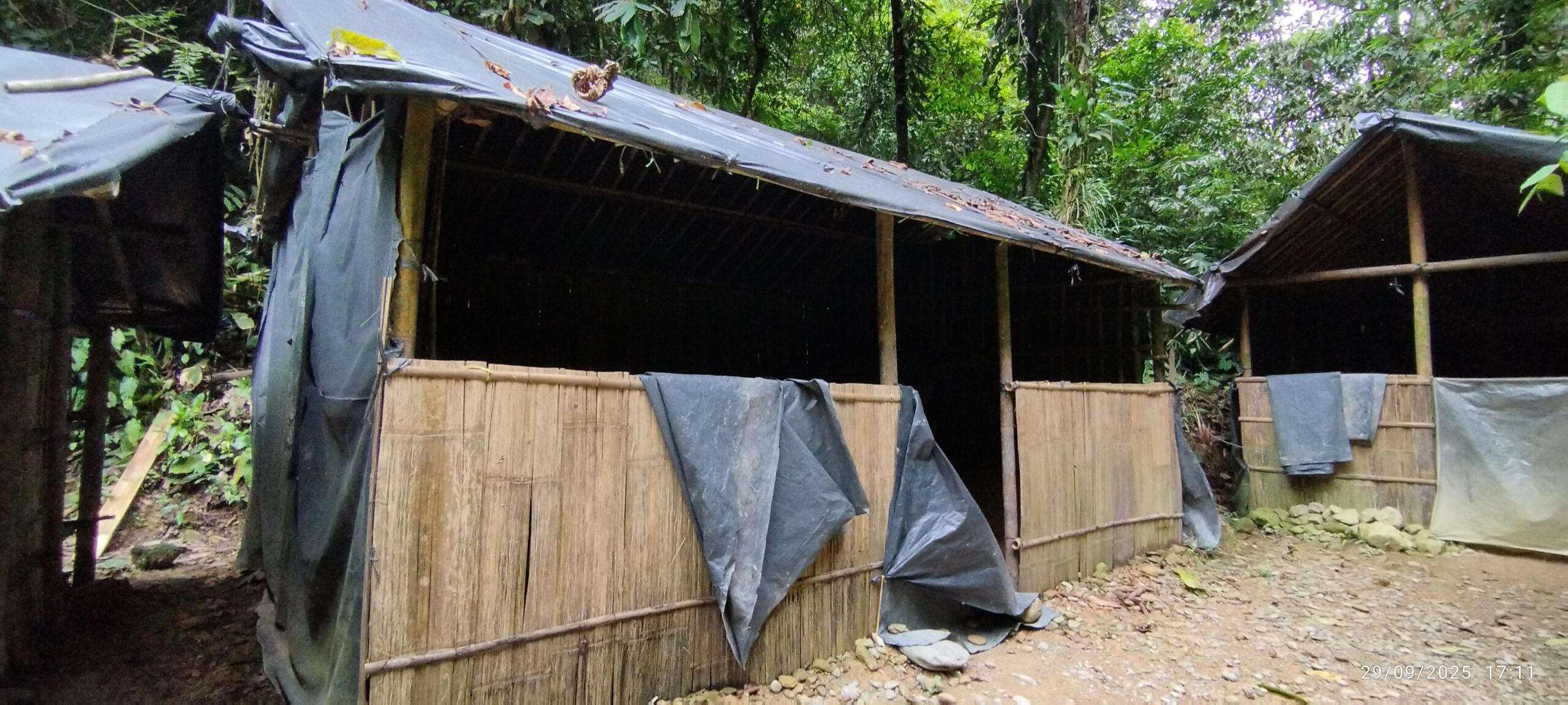 Jungle shelter for day 1 jungle trek tour