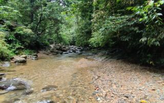 Jungle shelter next to the creek
