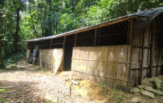 Jungle Shelter at the Campsite during jungle trekking trip into sumatra national park