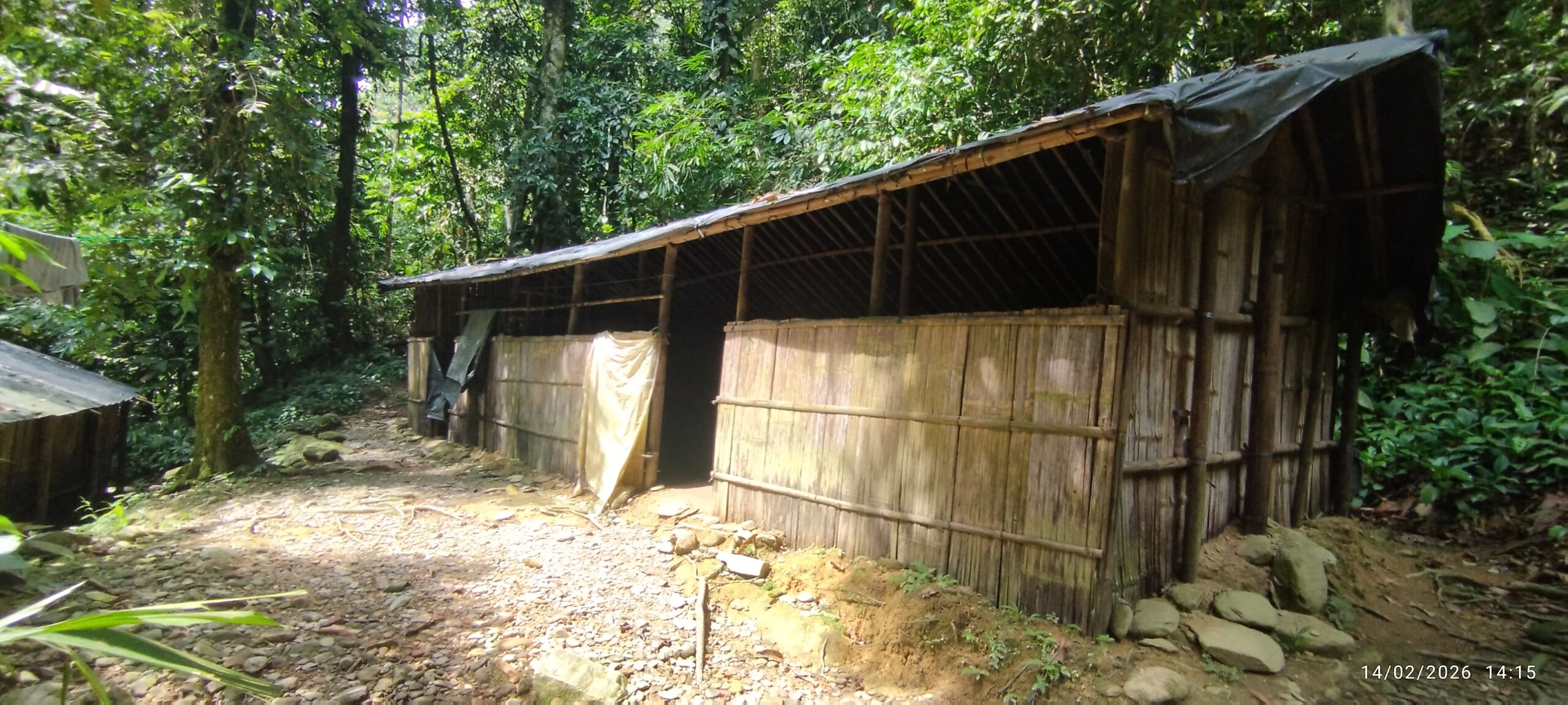 Jungle Shelter at the Campsite during jungle trekking trip into sumatra national park
