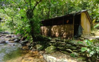 Jungle Shelter at the Campsite during jungle trekking trip into sumatra national park