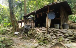 Jungle Shelter at the Campsite during jungle trekking trip into sumatra national park