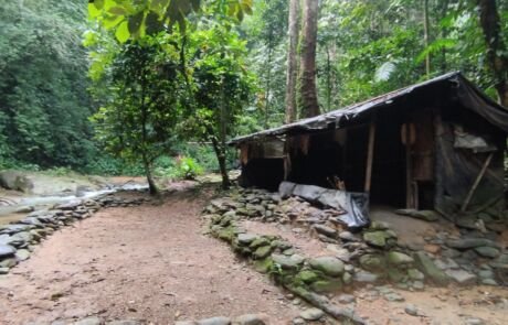Jungle Shelter at the Campsite during jungle trekking trip into sumatra national park