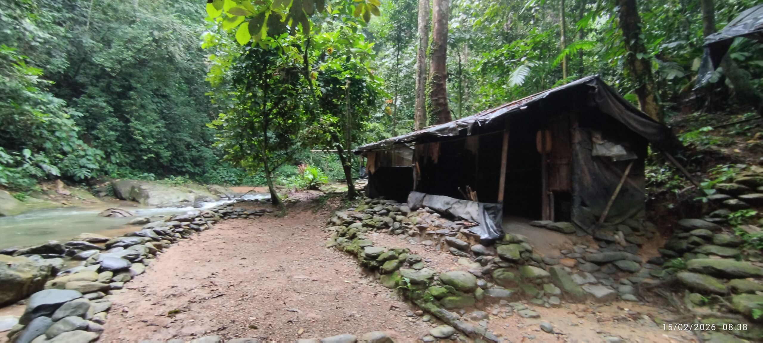 Jungle Shelter at the Campsite during jungle trekking trip into sumatra national park