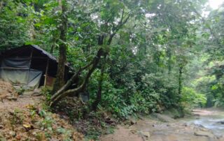 Jungle Shelter at the Campsite during jungle trekking trip into sumatra national park