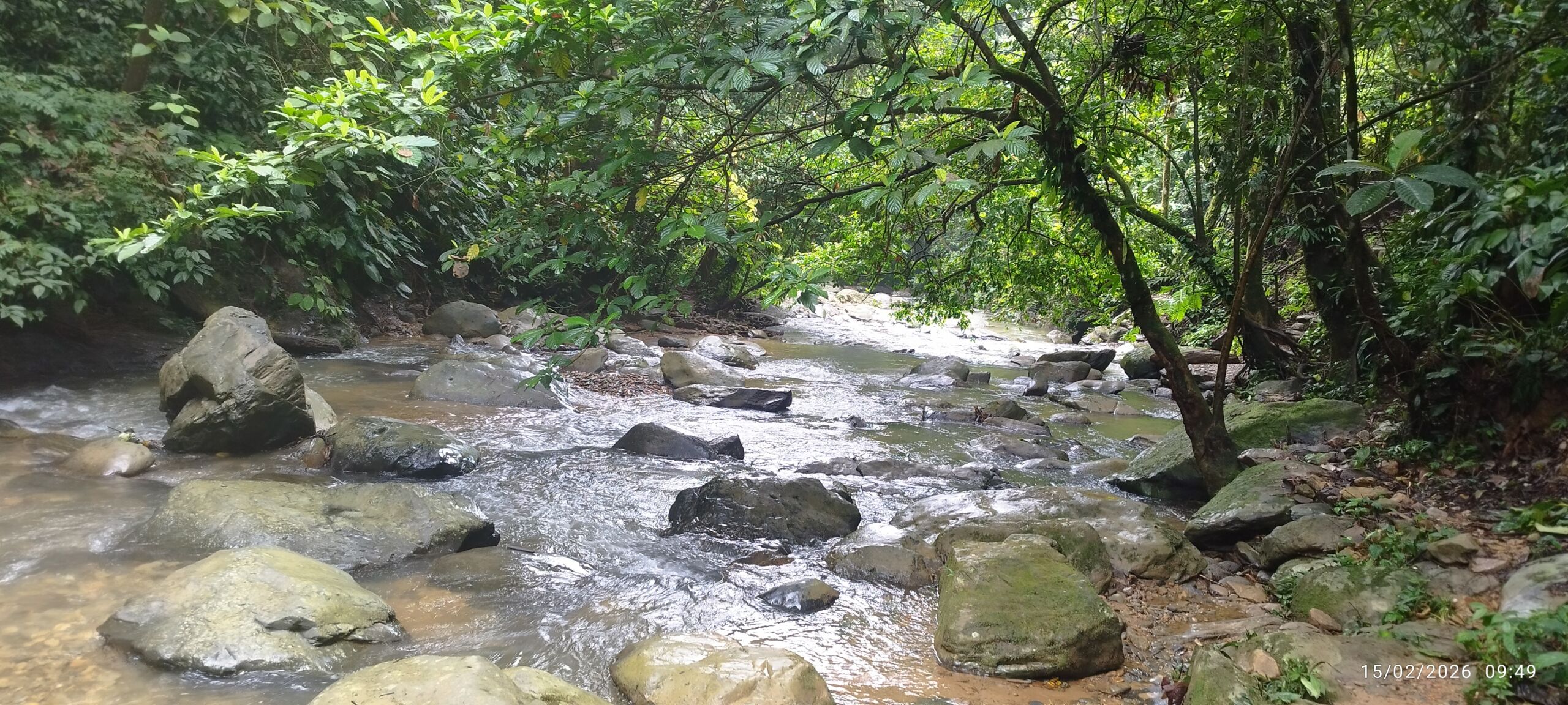 A river next to the jungle shelter