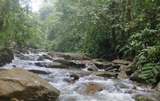 Beautiful river in the jungle of Sumatra Bukit Lawang