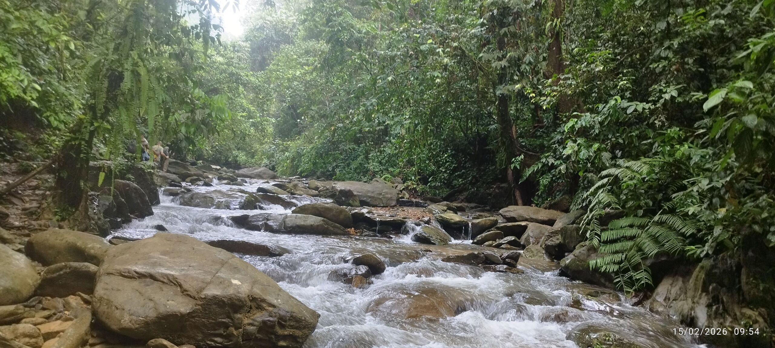 Beautiful river in the jungle of Sumatra Bukit Lawang