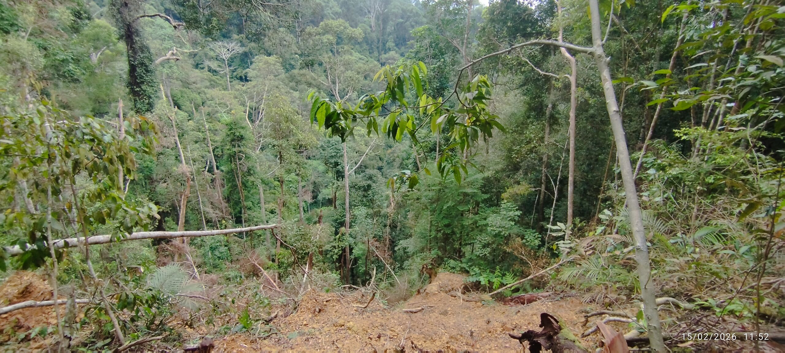 Good view of the green hill sumatra jungle