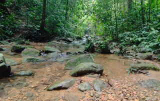 Beautiful River in the jungle trek trip Bukit Lawang