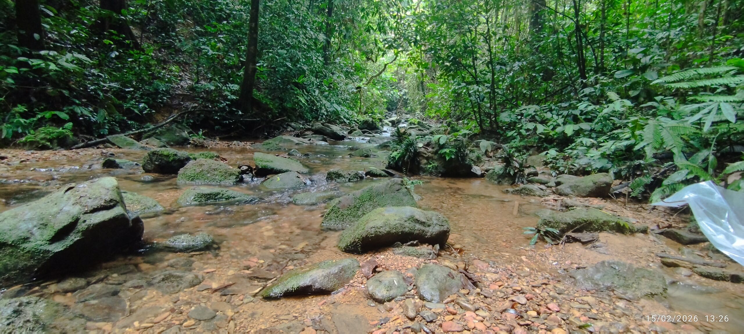 Beautiful River in the jungle trek trip Bukit Lawang