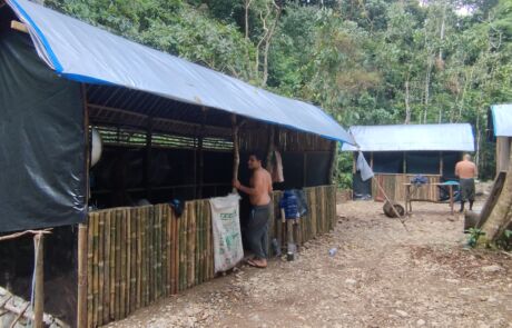 Second day jungle trek tour jungle camp or jungle shelter