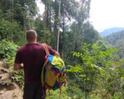 Observing and viewing the the breath taking view of the sumatra jungle