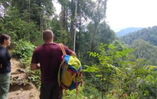 Observing and viewing the the breath taking view of the sumatra jungle