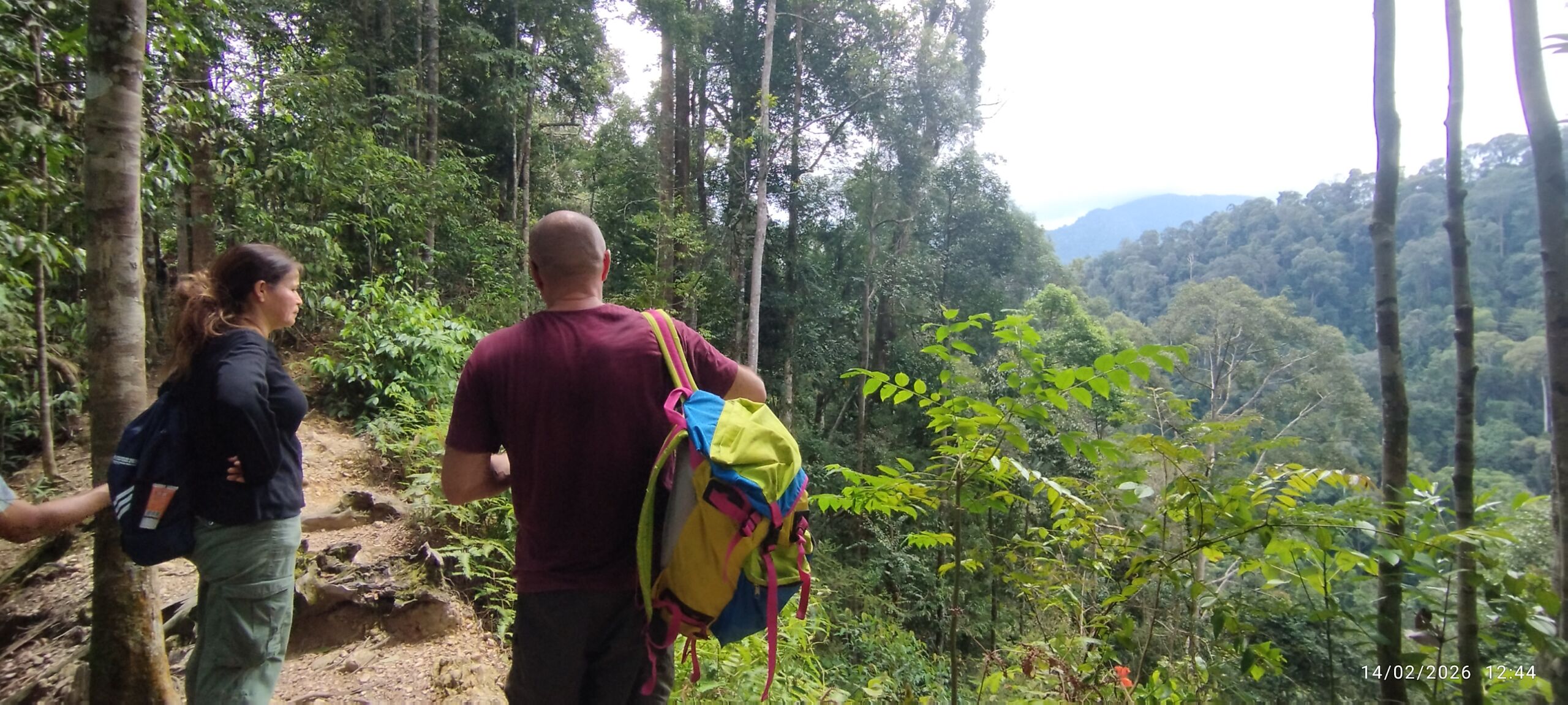 Observing and viewing the the breath taking view of the sumatra jungle