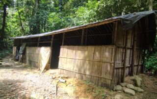 A jungle shelter, beautiful sterilised and thousand star hotel in the jungle of sumatra