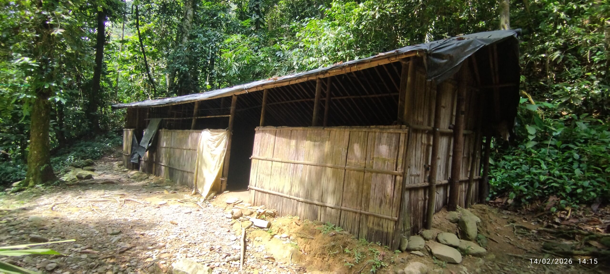 A jungle shelter, beautiful sterilised and thousand star hotel in the jungle of sumatra