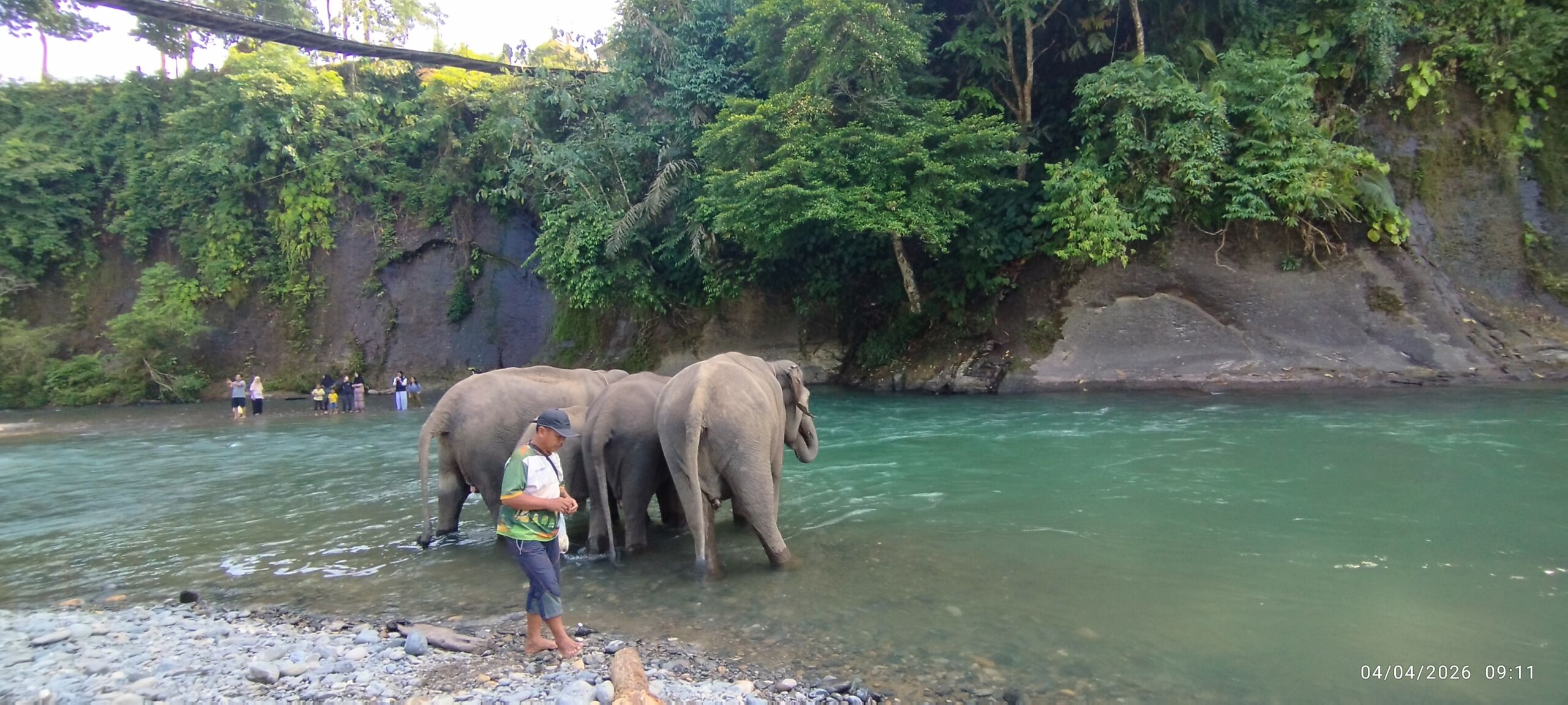 Sumatra Elephant Sanctuary in Tangkahan, North Sumatra