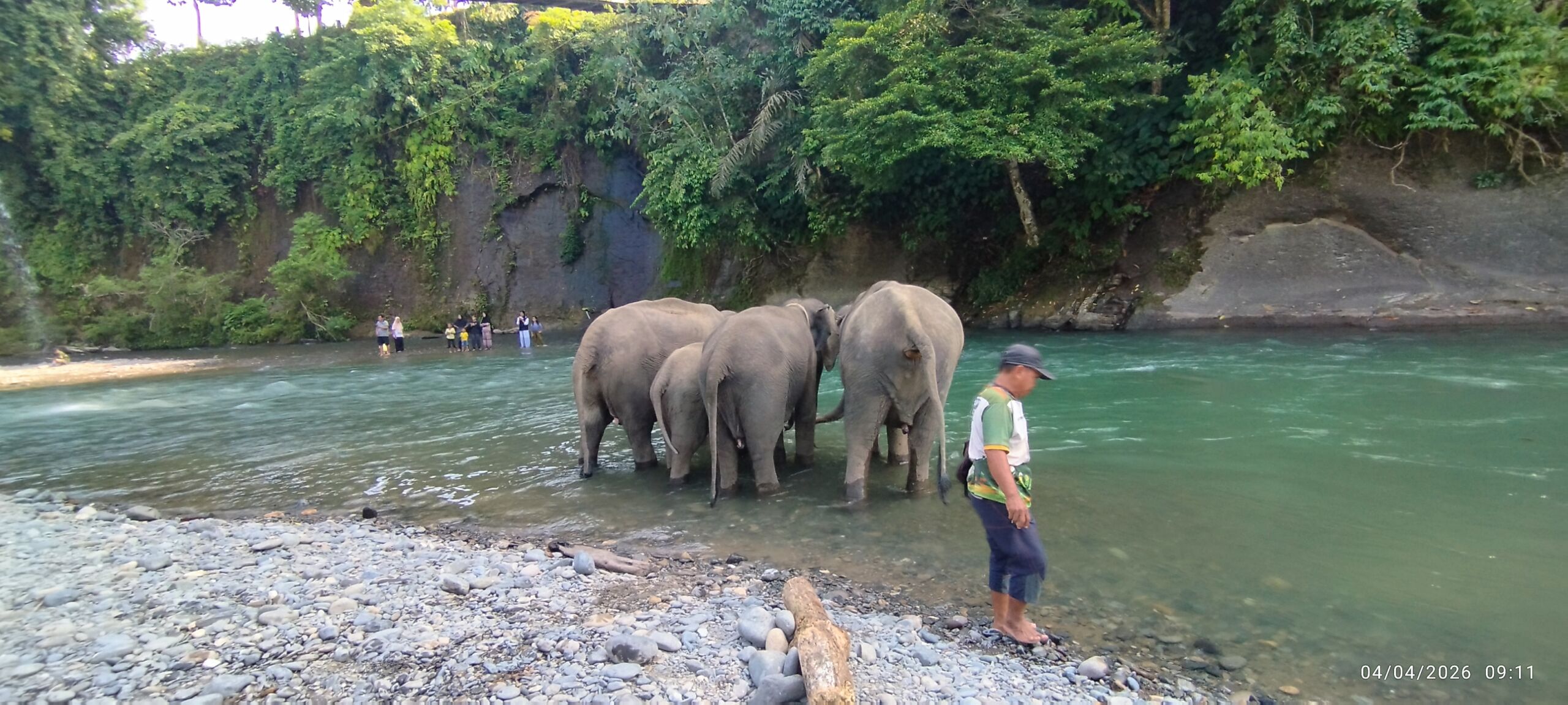 Sumatra Elephant Sanctuary in Tangkahan, North Sumatra