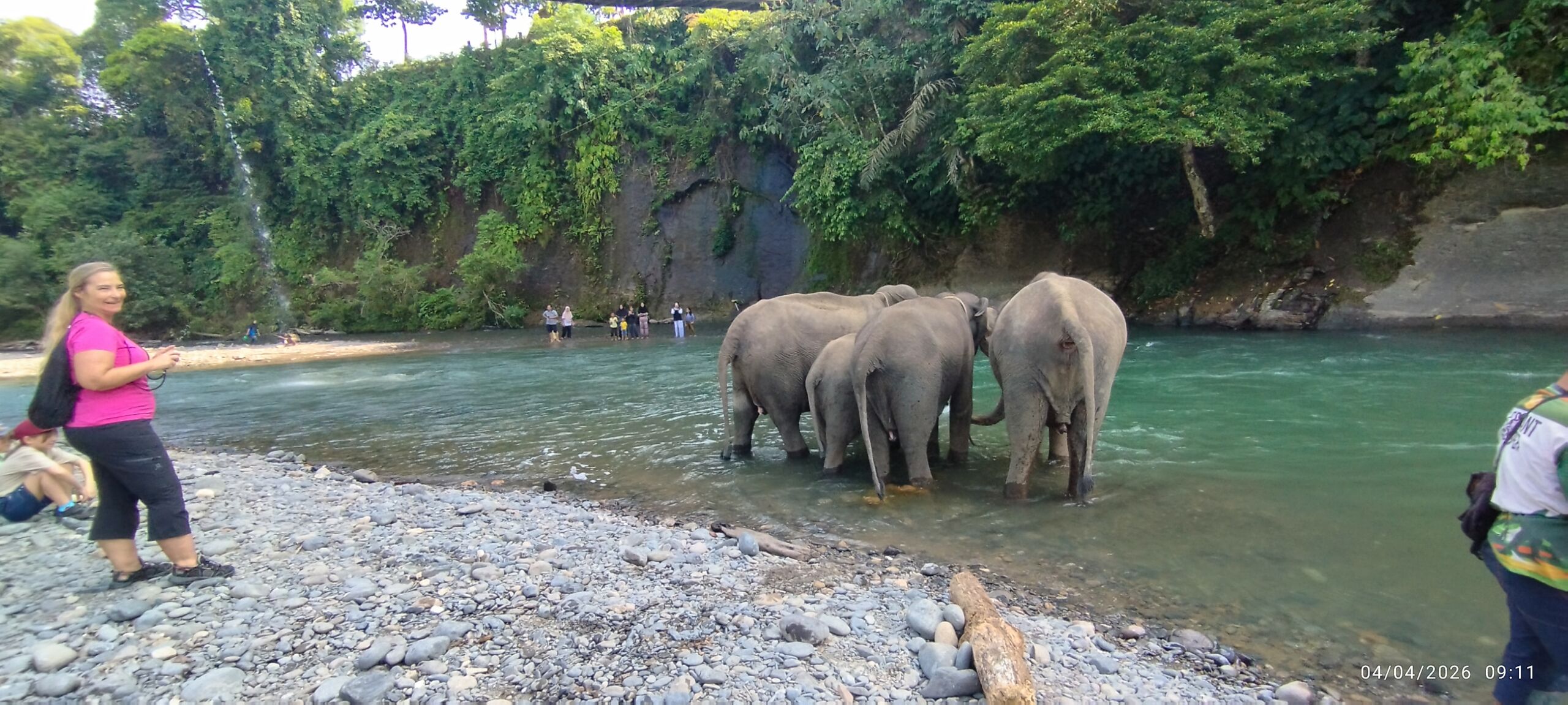 Sumatra Elephant Sanctuary in Tangkahan, North Sumatra