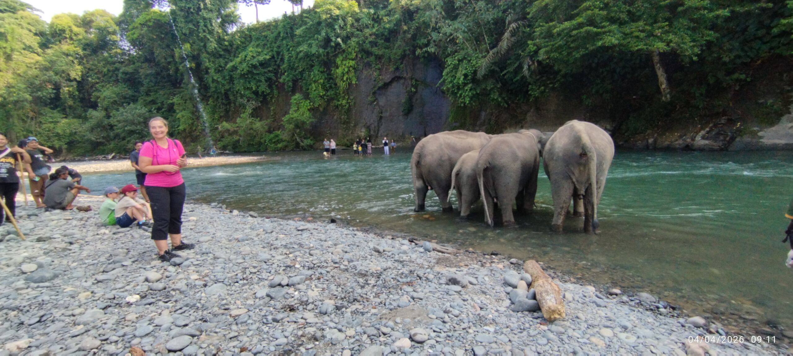 Sumatra Elephant Sanctuary in Tangkahan, North Sumatra