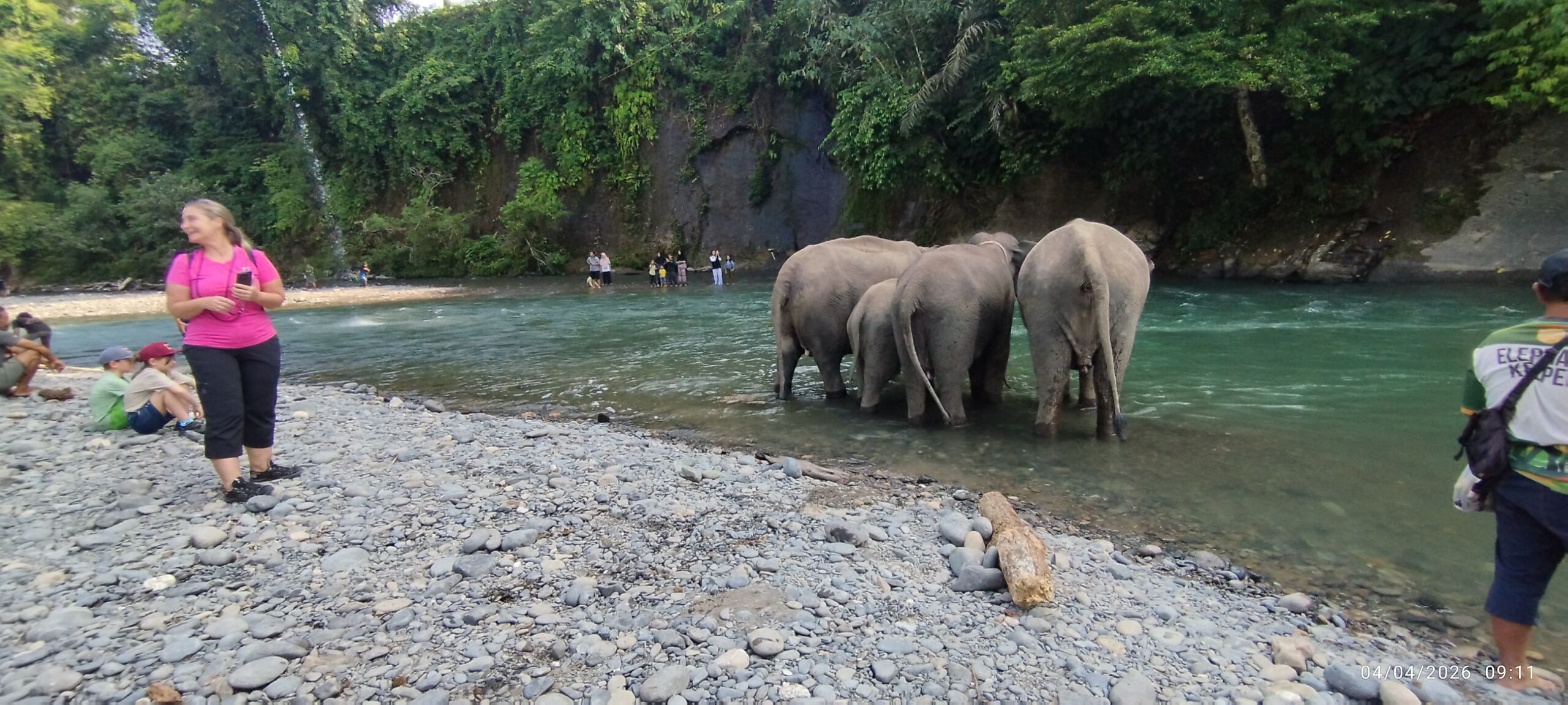 Sumatra Elephant Sanctuary in Tangkahan, North Sumatra