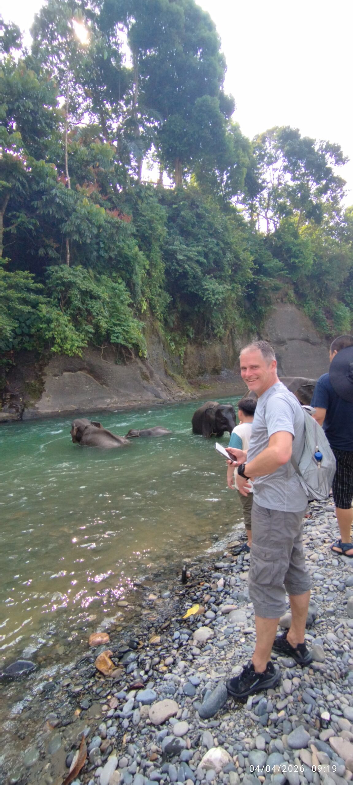 Sumatra Elephant in Tangkahan North Sumatra Sumatra Elephant in Tangkahan North Sumatra