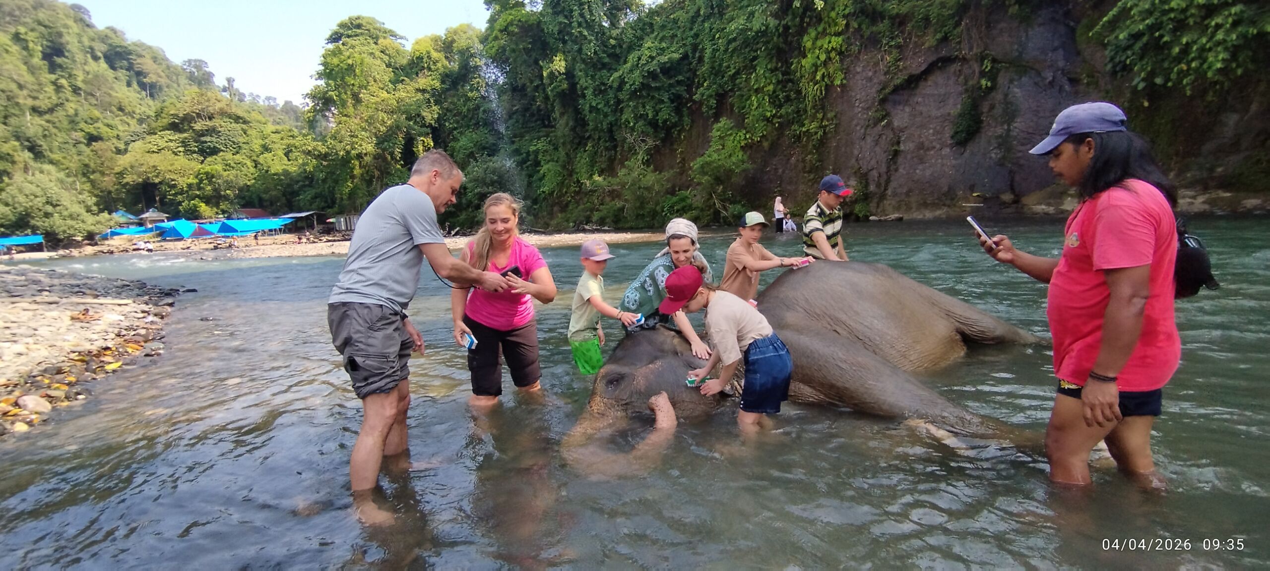 Sumatra Elephant Sanctuary in Tangkahan, North Sumatra