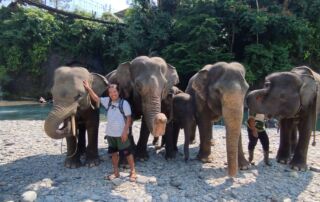 Sumatra Elephant in the sumatra elephant sanctuary in Tangkahan, NorthSumatra, Indonesia