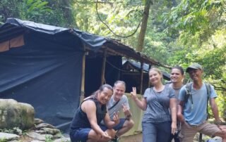Jungle shelter sumatra national park bukit lawang