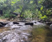 a clean crystal clear water next to the jungle shelter