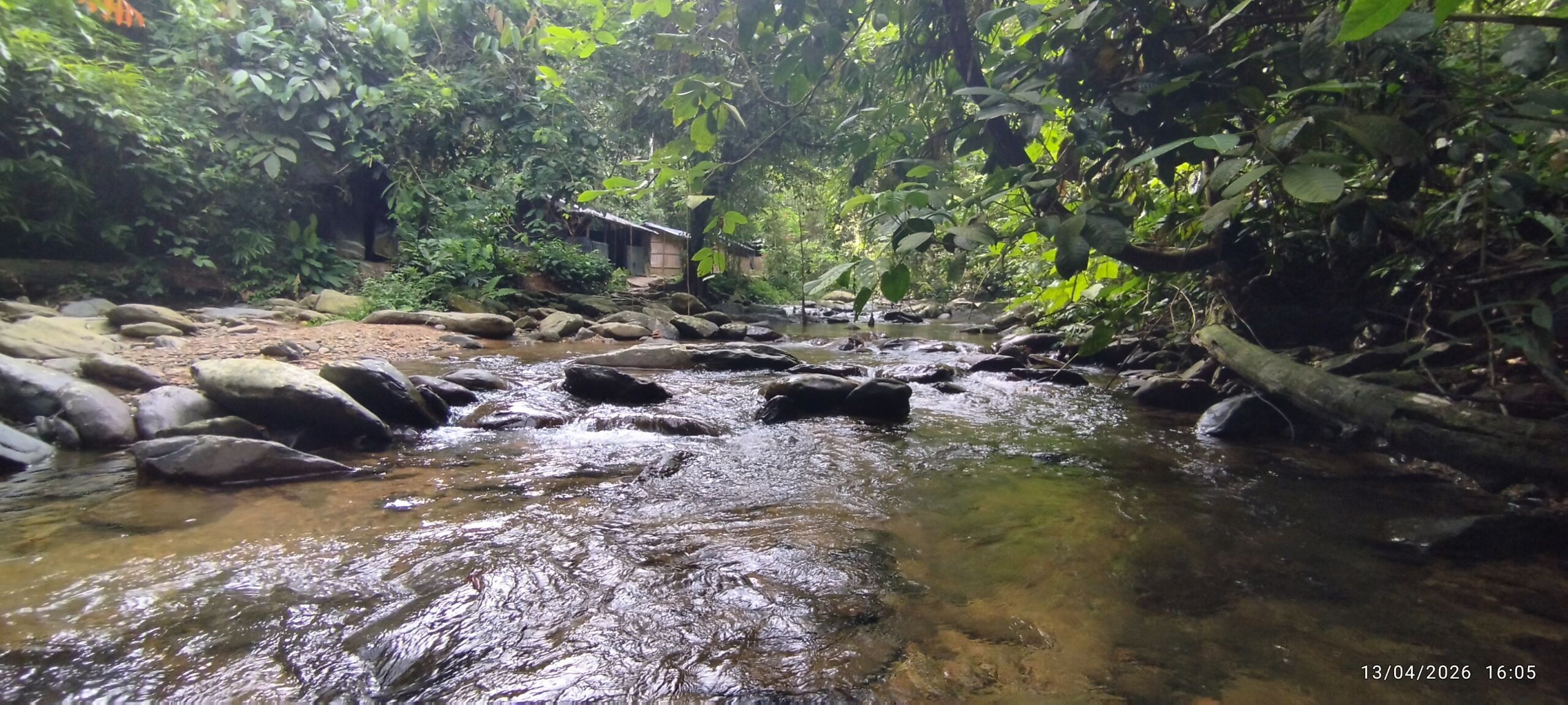 a clean crystal clear water next to the jungle shelter